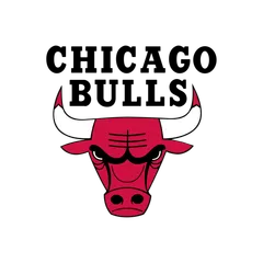 Chicago Bulls logo